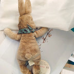 Heceffe15de8b4f8c9d943c399c7eb7e5p