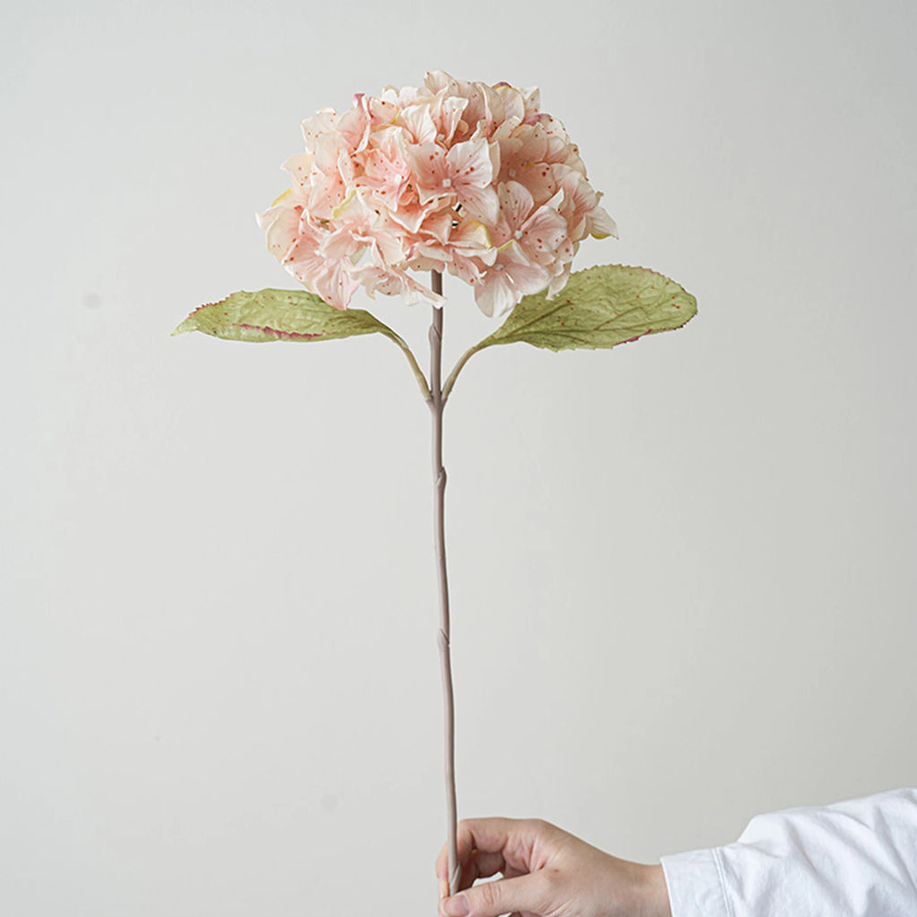 S012fe976f6054812adaf3df65c7922c6V