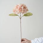 S012fe976f6054812adaf3df65c7922c6V