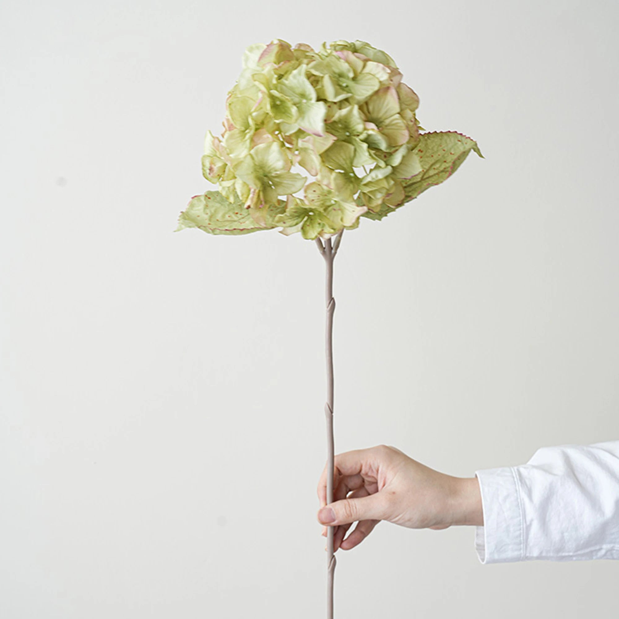 S26311668467f44dd8bc6689fe1b2033ej