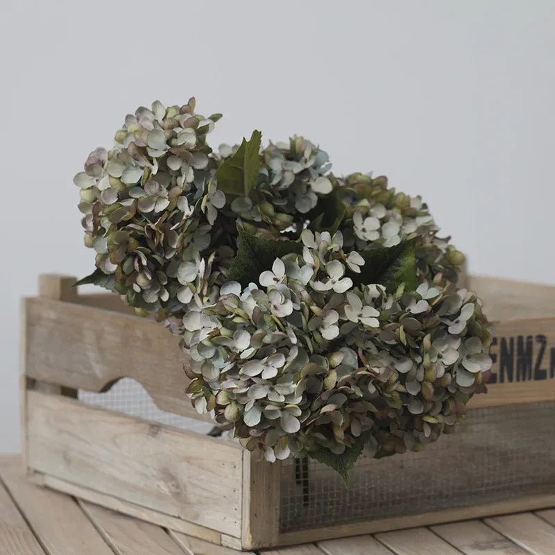 S3fe99fc2569f4b68b5f8db5150f1dc62w