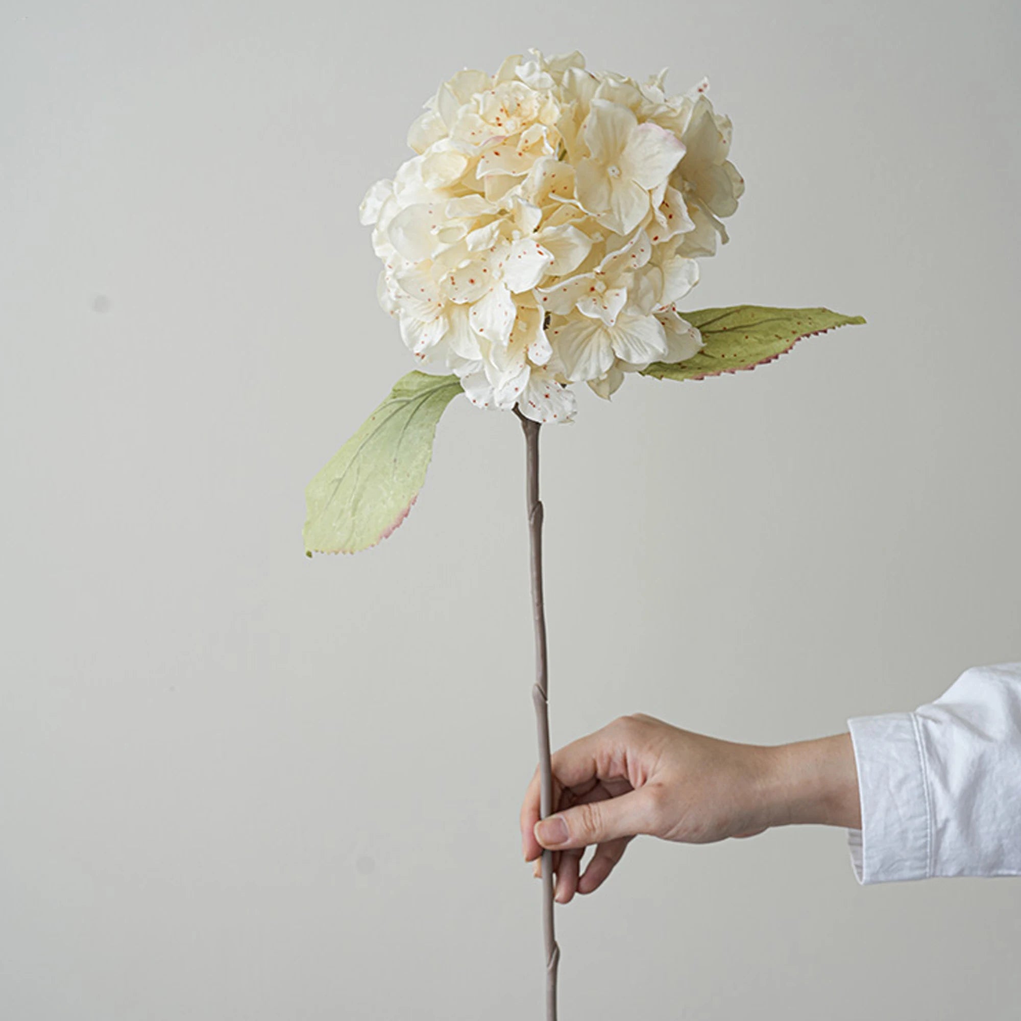 S4f348f2d48fb45f687baa238dcadbb1cx