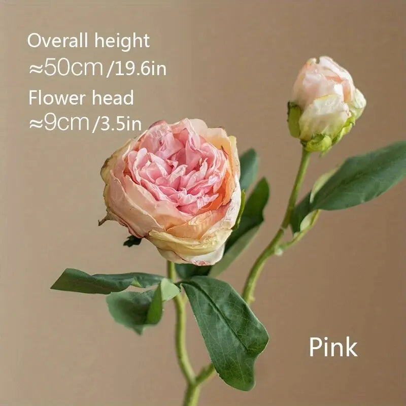 S5e4f6856c7f74d51a4e1bd304128edf7A