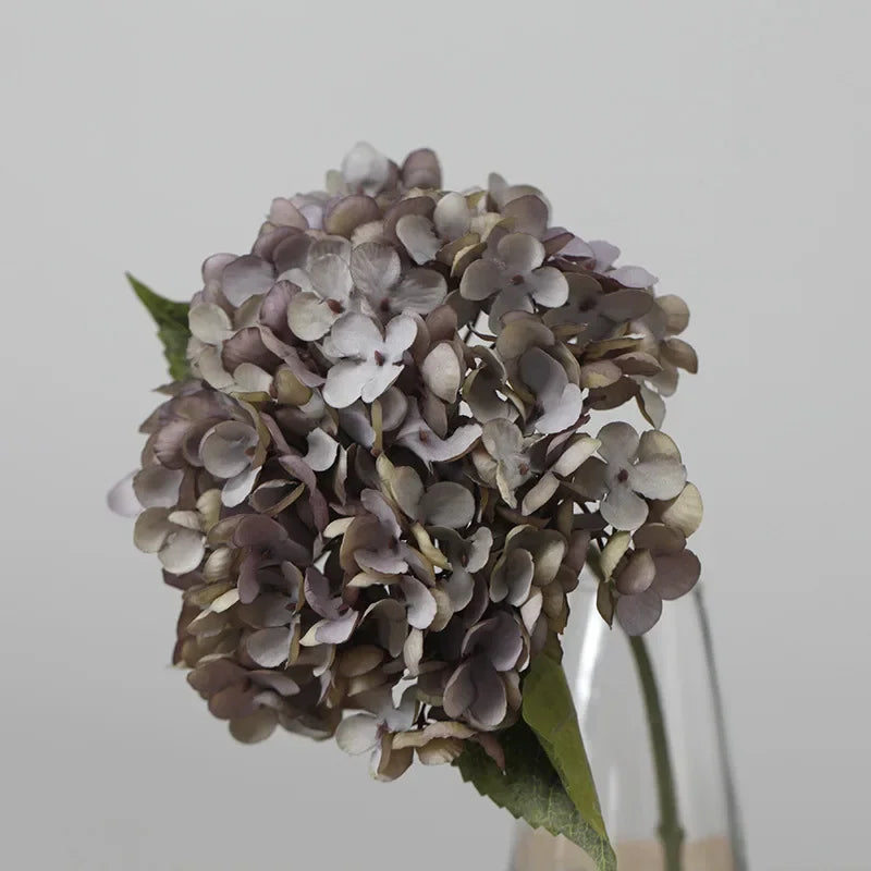 S60cd2132a0f44f9dac84b603aecaf660p