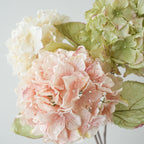 S86fb3d87281e49c1a0c70d4a2f866d21r