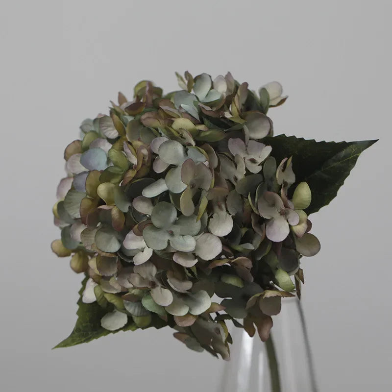 S8995c14be9614b35b66fbd99c57ff639f