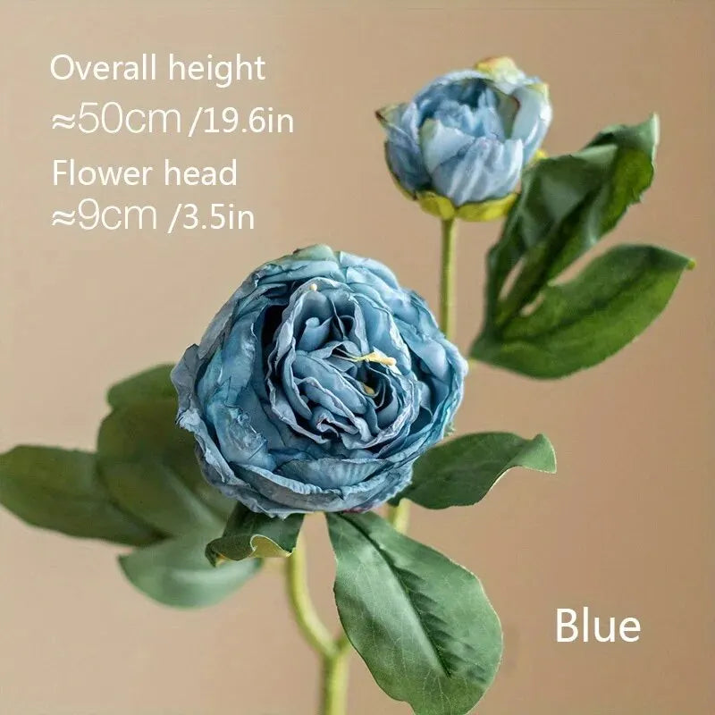 S89d53df2ef96453b90f83d3b4d2ffc53w