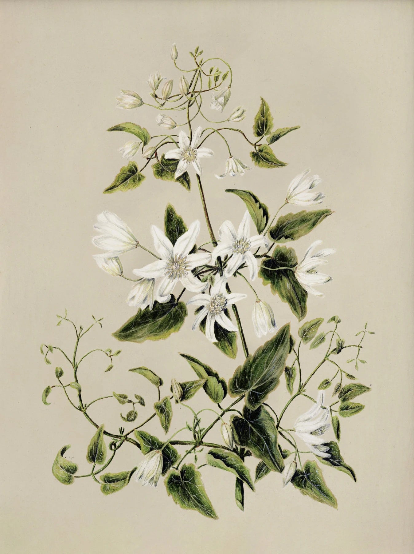 S9174f280292b4d99876fa0e1cfb7138b4