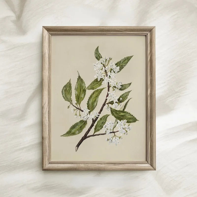 Sab4ce152868b472bb0048c2e18a861cdg