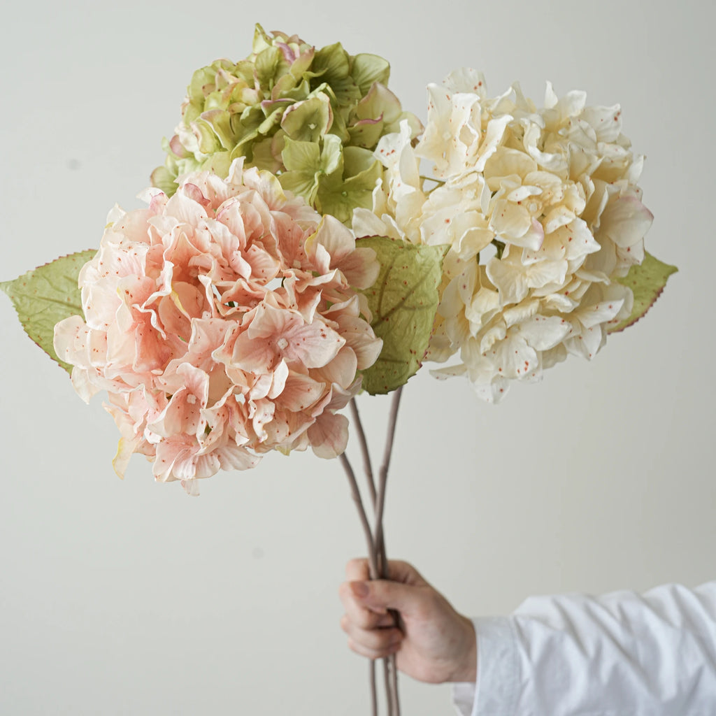 Sb3b8188fff0042dc94e4b52f37b65568N