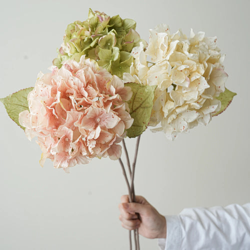 Sb3b8188fff0042dc94e4b52f37b65568N