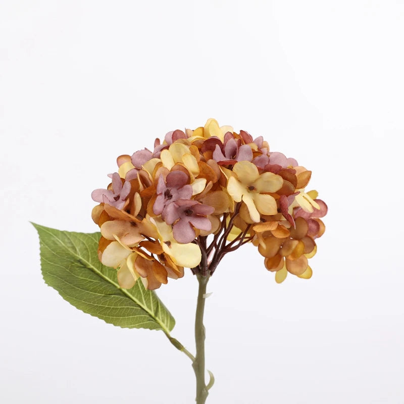 Sbae15c61933240b7bcae9e284284cec8D