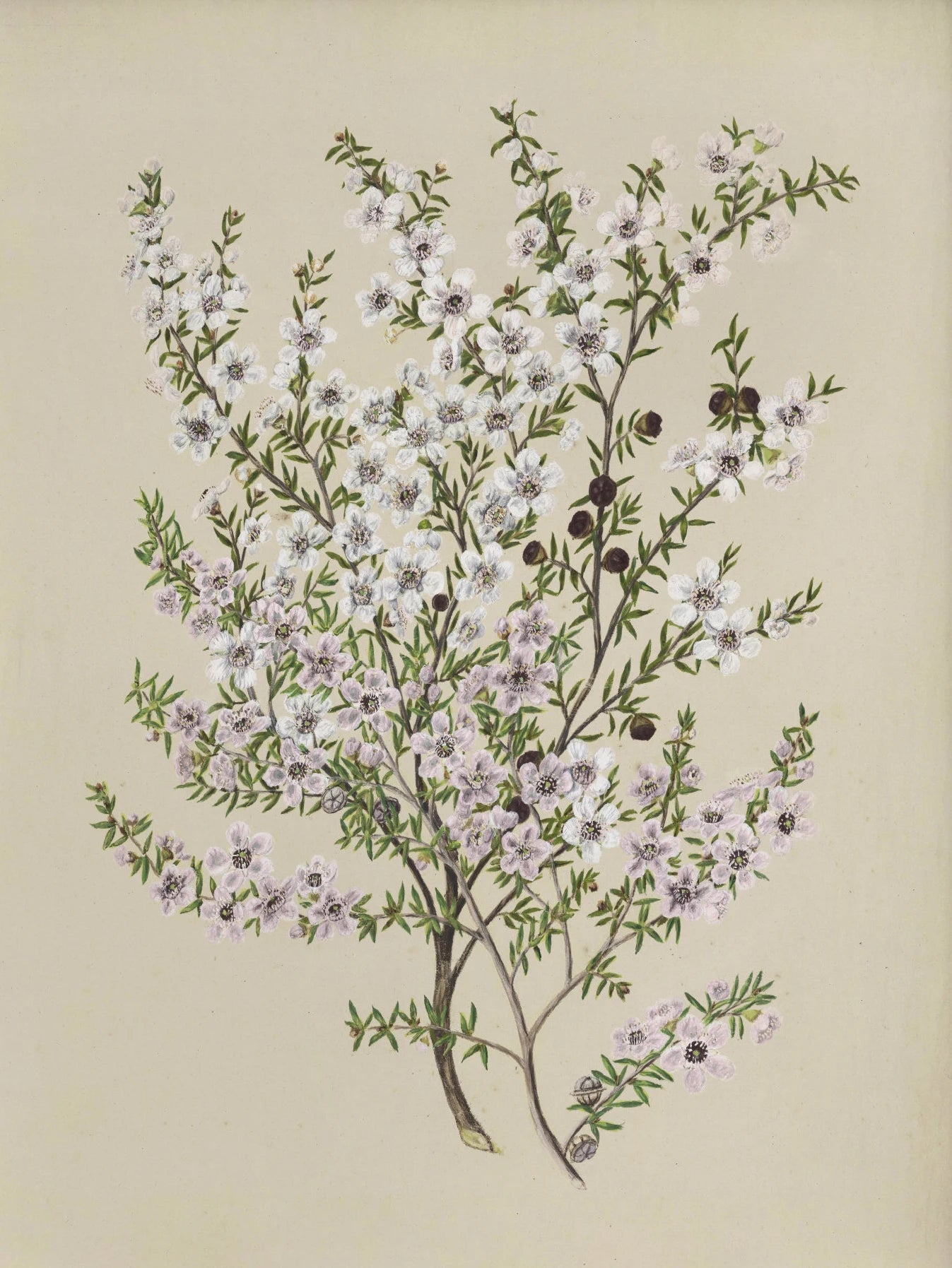 Sbb696d362ed8484c8562aaa2351a83f0o