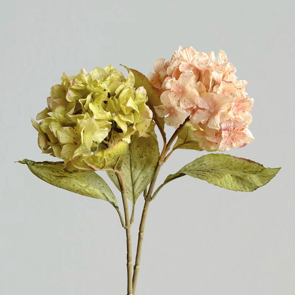 Scc5e0ddc5a9141c2aa69cf3eebe39bf0Y