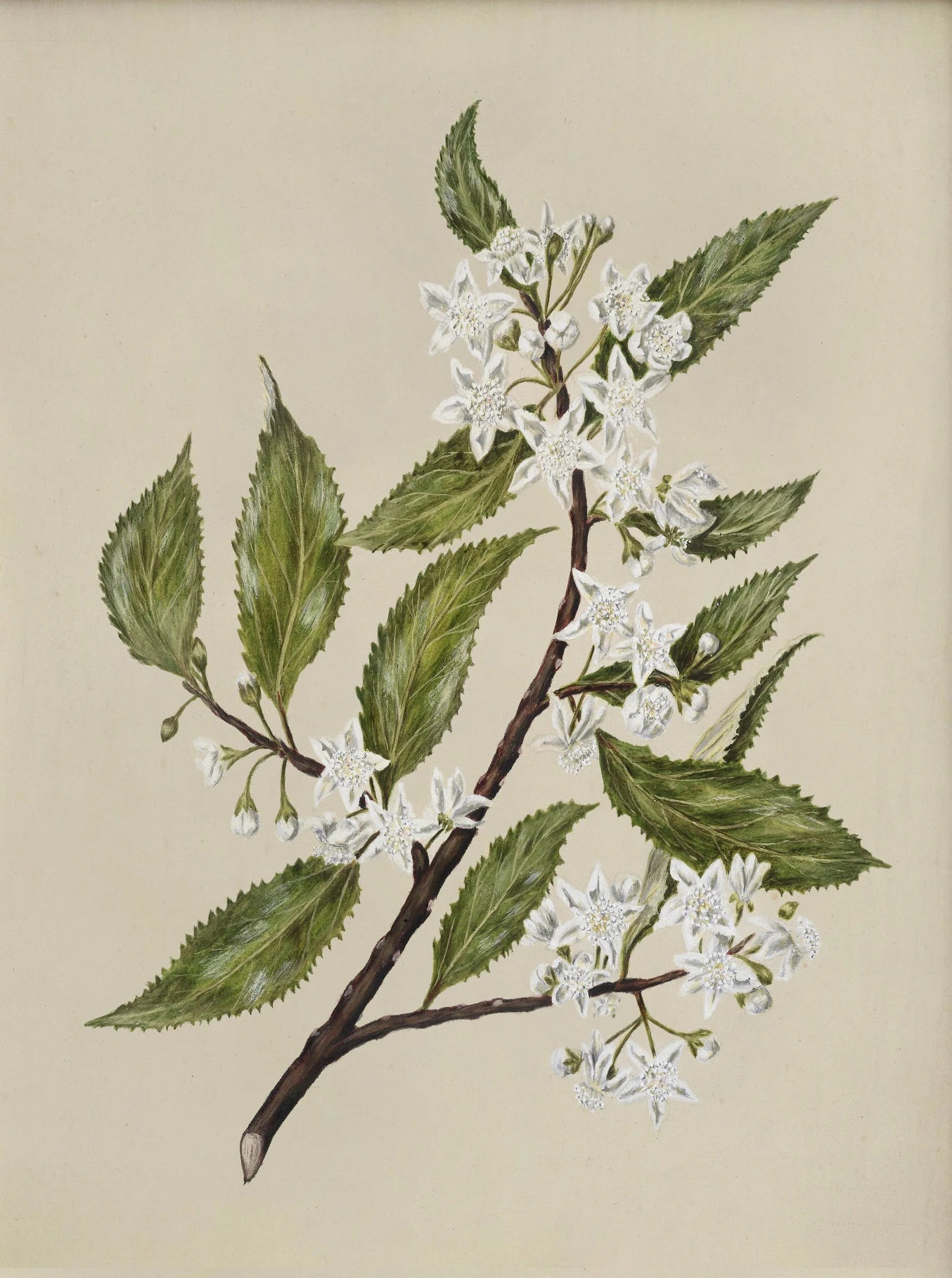 Sd4ed300041ad400e9ec27a2db252e208Z