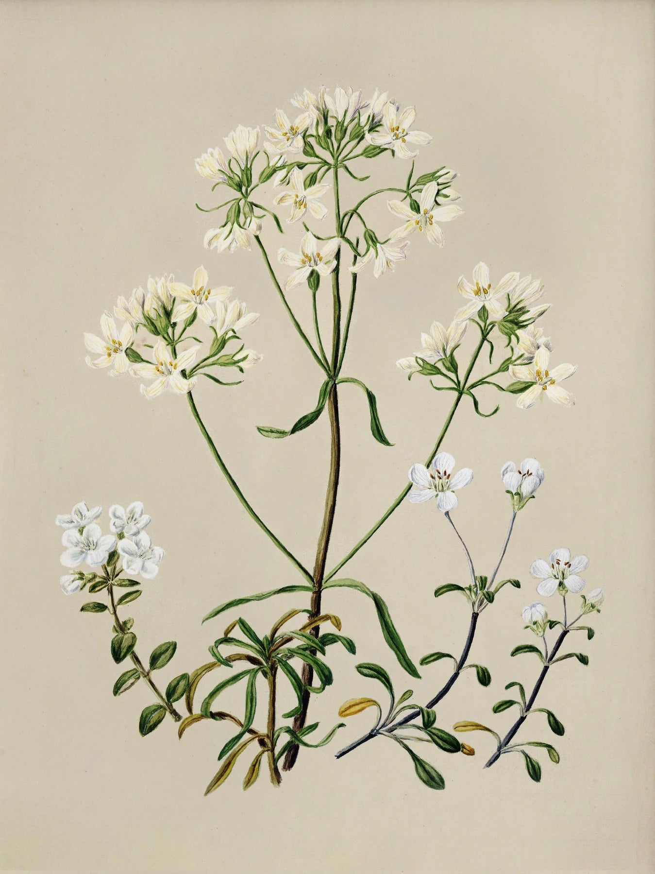 Sd65fc36bf51145d3b3d54f51854271e92