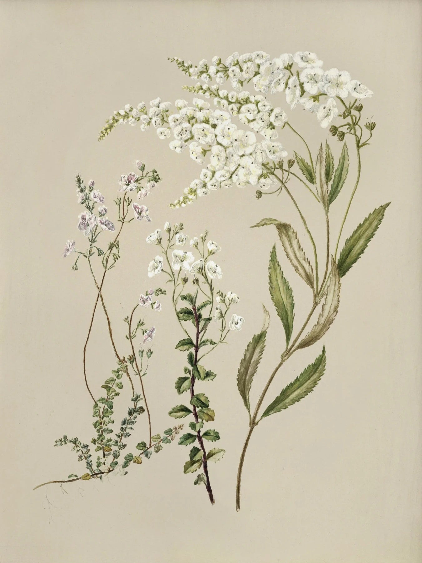 Sf21855ef40f2428f95393cff5035f248c